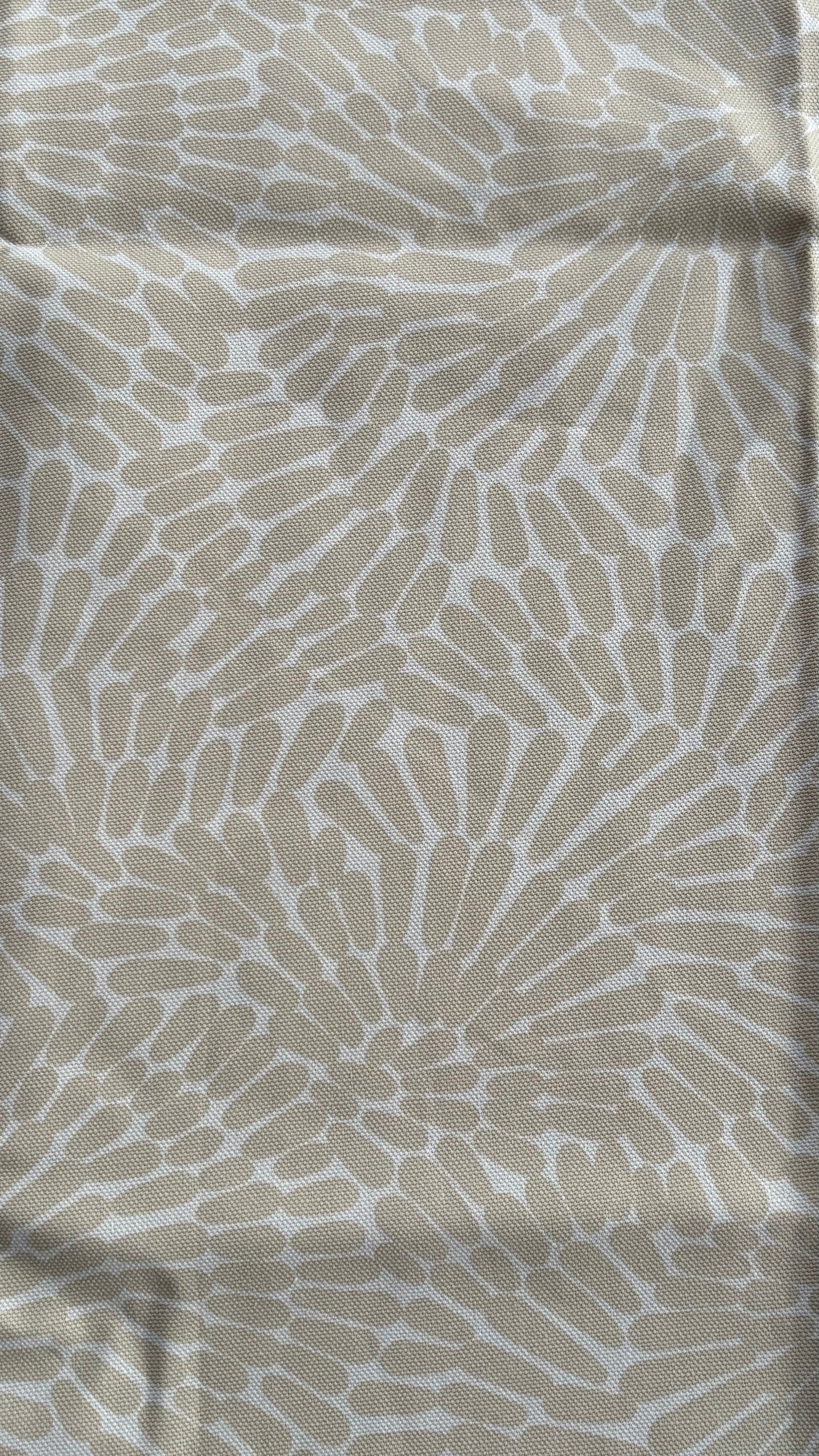 Canvas Natural Coral