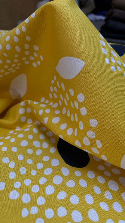 Canvas Yellow Points